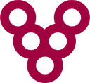 Vinsight Logo